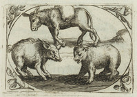 TvB G 4425
          <br/>
          Twaalf afbeeldingen met dieren
          <br/>
          <em>Staker, Heinrich (??)</em>